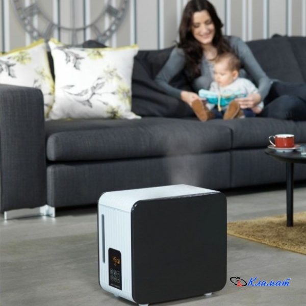 shop_property_file_5205_554