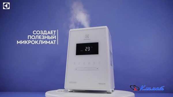 976d42abef9030f9ffa1f8cf9ebfe61b