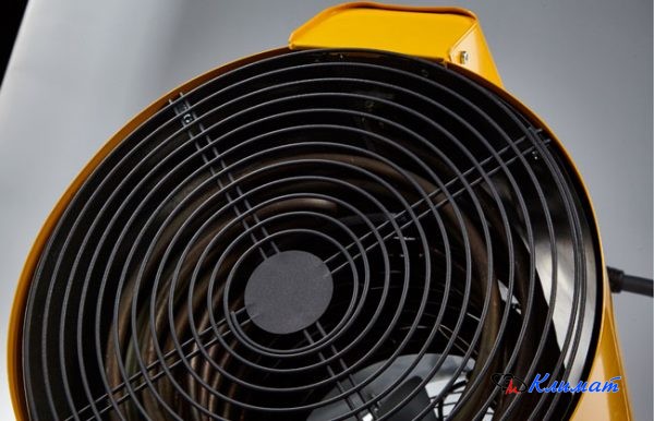 Без названия (1)