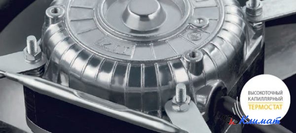 Без названия (2)