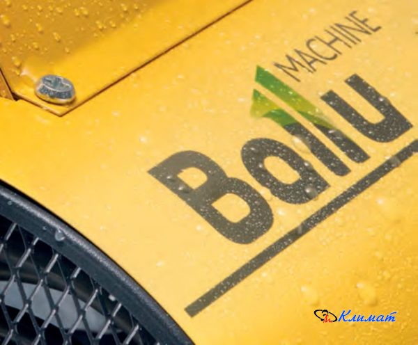 Без названия (3)